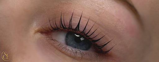 Elevate Your Lash Lift Skills with the Korean Lash Lift Masterclass