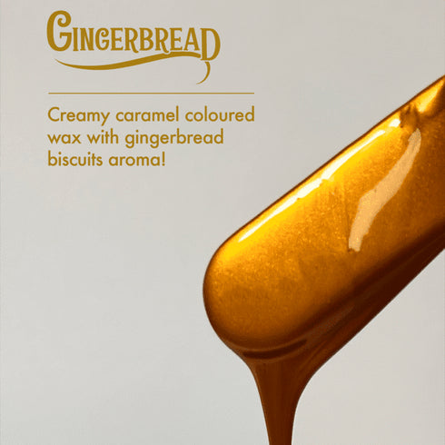25-LIMITED-EDITION-Gingerbread-3-