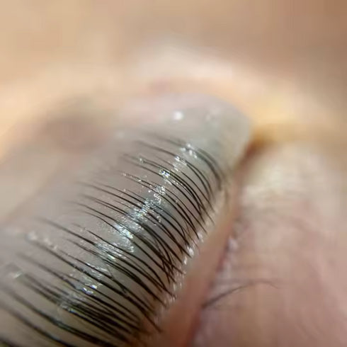 Ciaobrow Dolly Shields for Lifting Lash