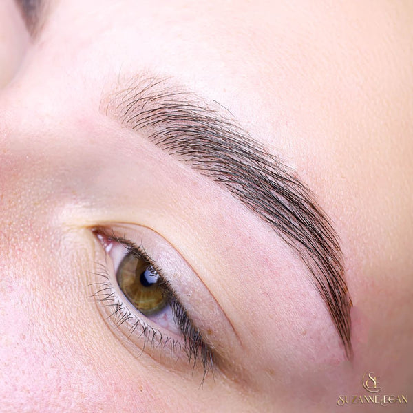 Hybrid Tinting Course