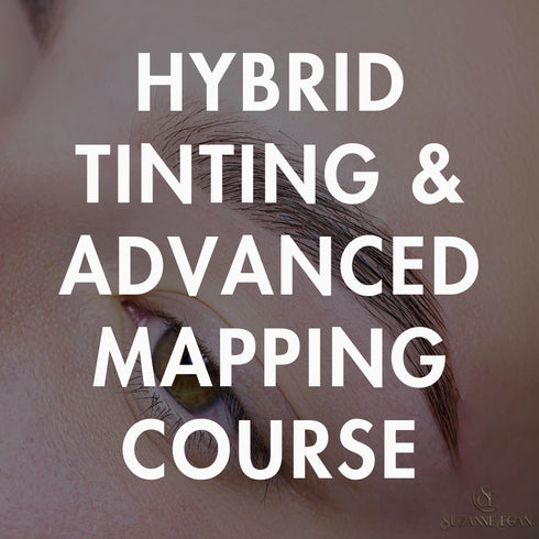 Pro Hybrid Tinting & Advanced Mapping Course